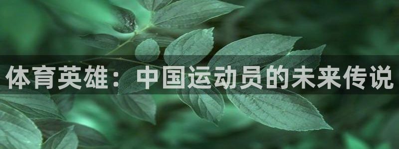 xc体育