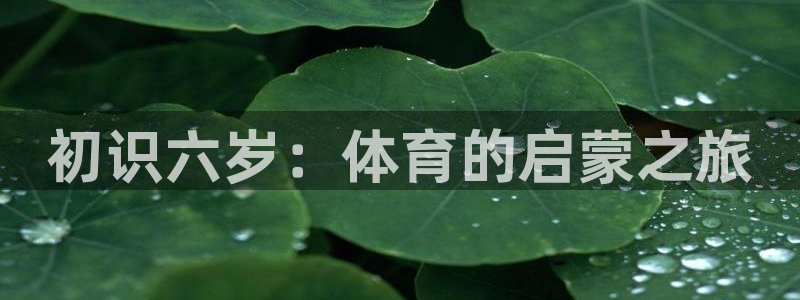 xc体育