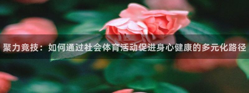 xc体育