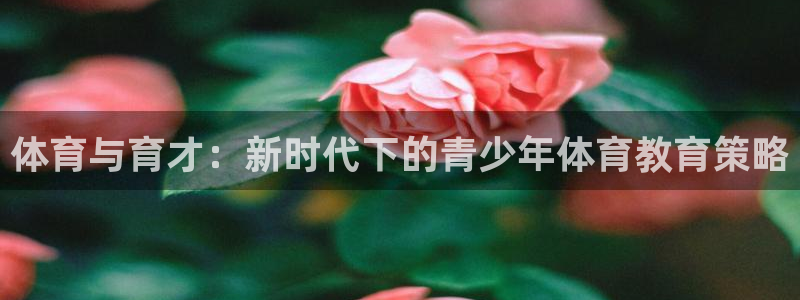 xc体育