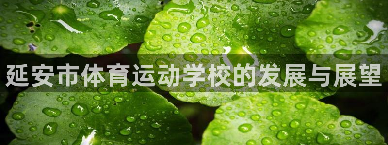 xc体育