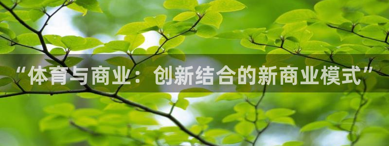 xc体育app官方网站