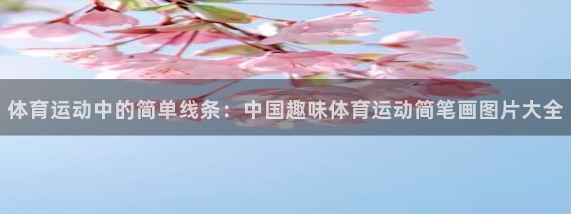 xc体育